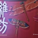 魯台青年創業合作懇談會在濰坊舉行